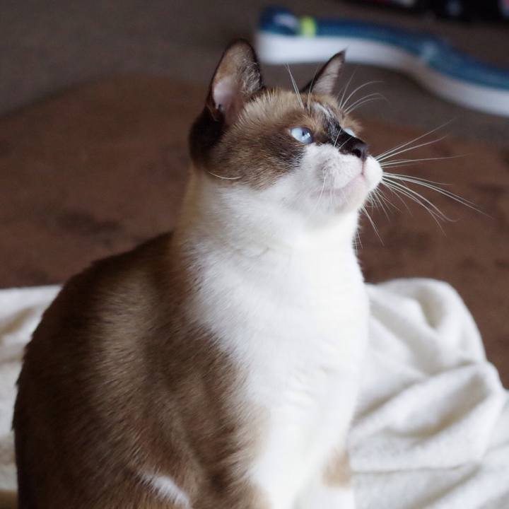 C30fe225 67c0 414a a033 a71efb0bb491