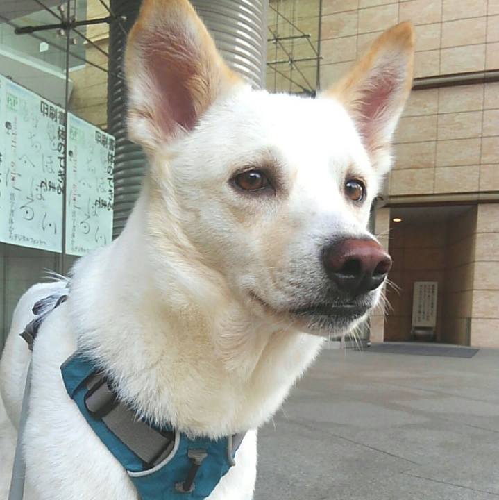 C3100f7d 9a21 4cf3 a467 5b88c9b8d004