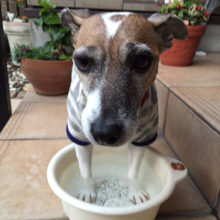 C3106ef4 dc2e 4ac1 8962 f3e0acea32fa