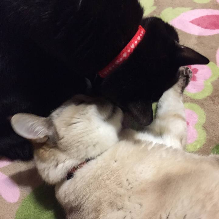 C310b870 dc89 4479 820e 51aa5e8d1391