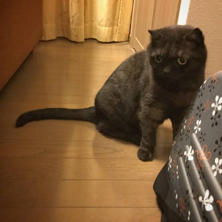 C3114b32 02e3 444a a3a6 698e7720bbe2