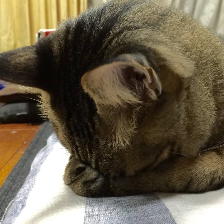 C3115ce0 37e9 4e32 97f3 ea386f3d5948