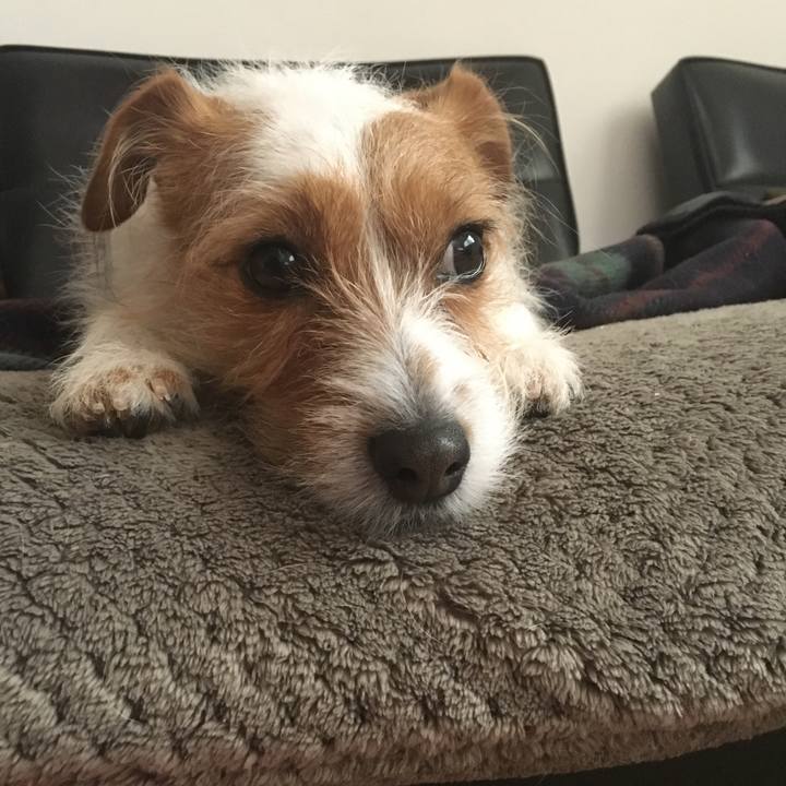 C31197ed 0f0e 43e4 ae66 dc0054960653