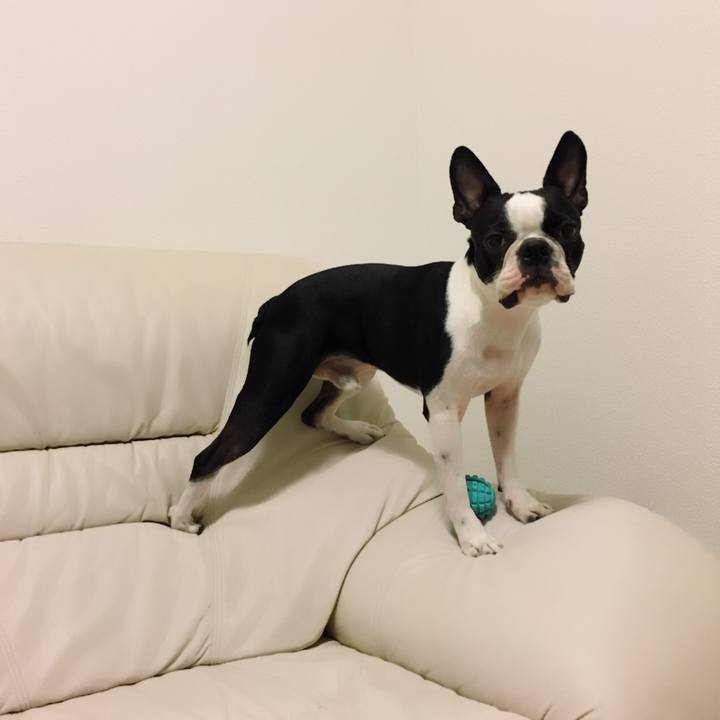 C3121e32 cb67 4e2b 80e5 e6c1e3de82df