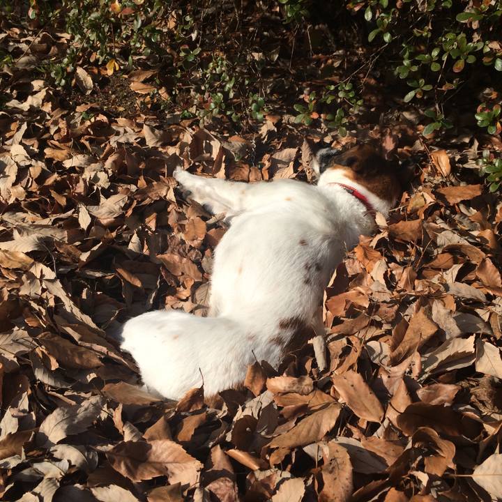 C3126d1a cf0d 4702 adb4 2de266b7f649