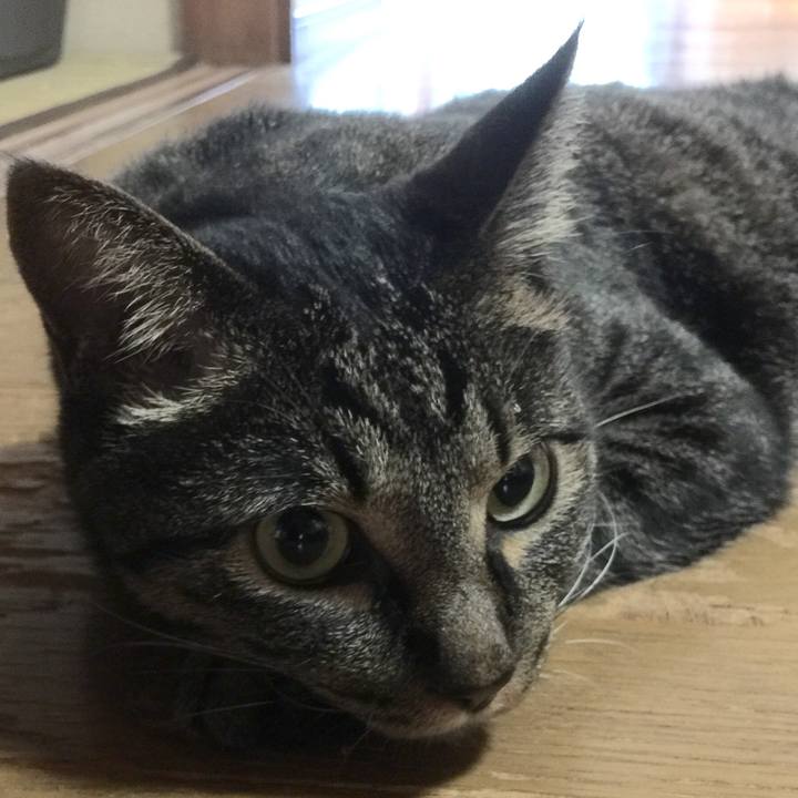 C312ed9f 96a0 4b62 a5ec 8b5c7c70289a