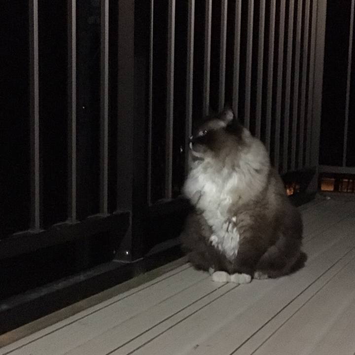 C313c8ad 3923 4dfa 831c 39396cc82e4f