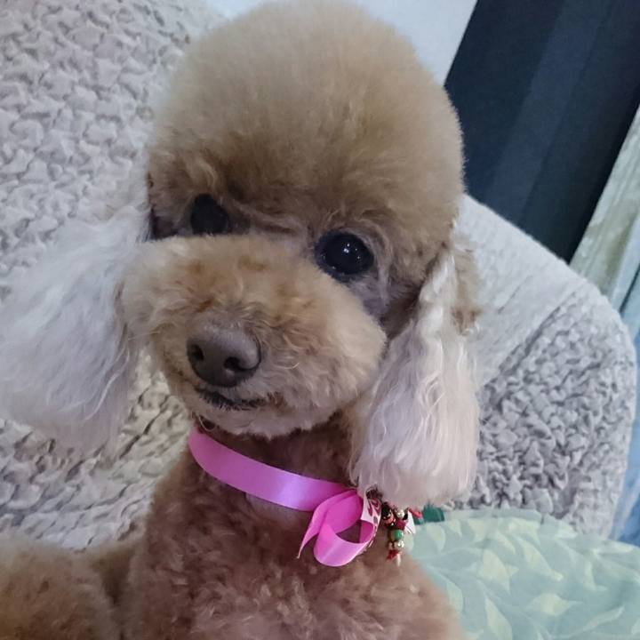 C314409a de54 465c 8e56 de8bae0f3ff8