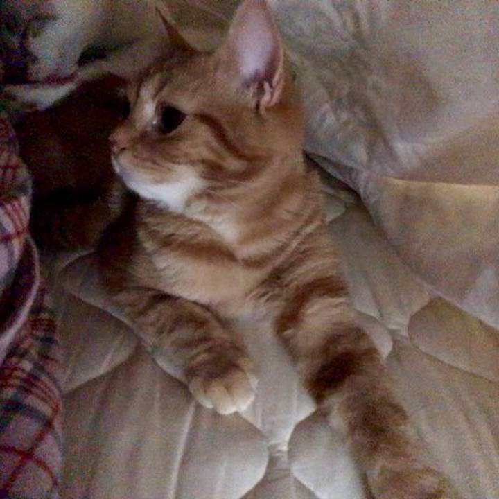 C31483d7 5cdb 4ac9 8a13 6a289ff7ec07