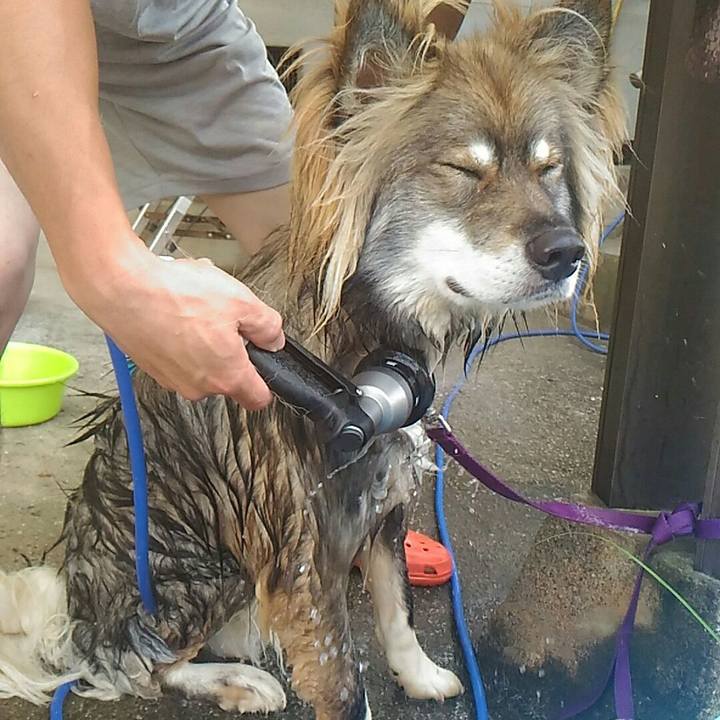 C3149bcb 2e9c 464f 9264 7715a36bb920