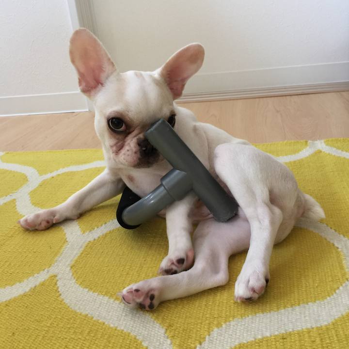 C314c349 629e 471e a902 4bf2582c99d4