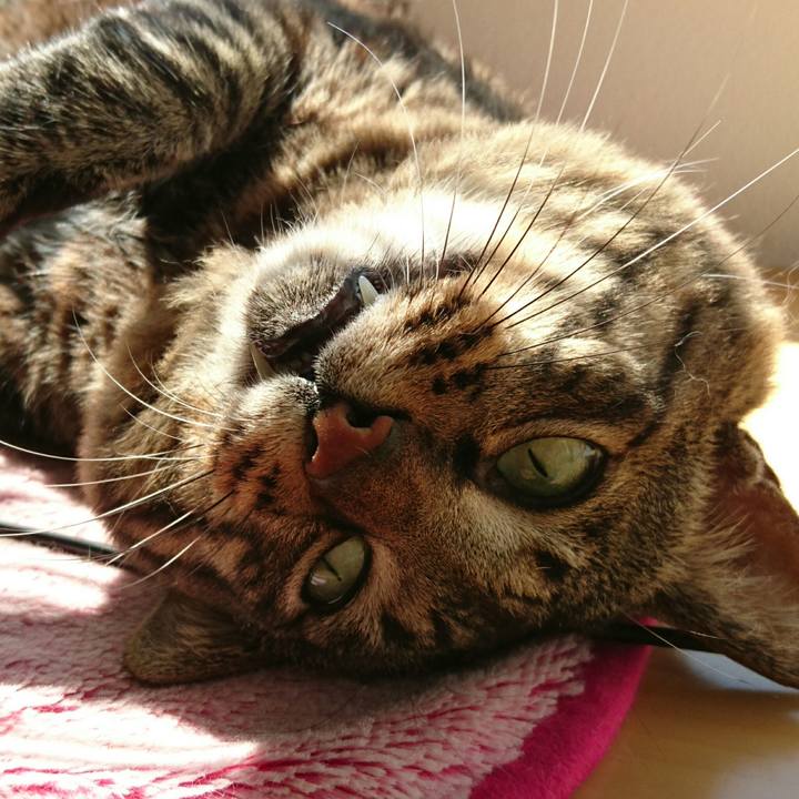 C31527e1 1aee 4060 a7f6 a8c529ddfdb8