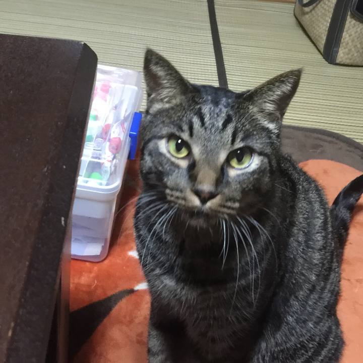 C3157a7a 9901 49dc 8d2a b26ee8a5d447