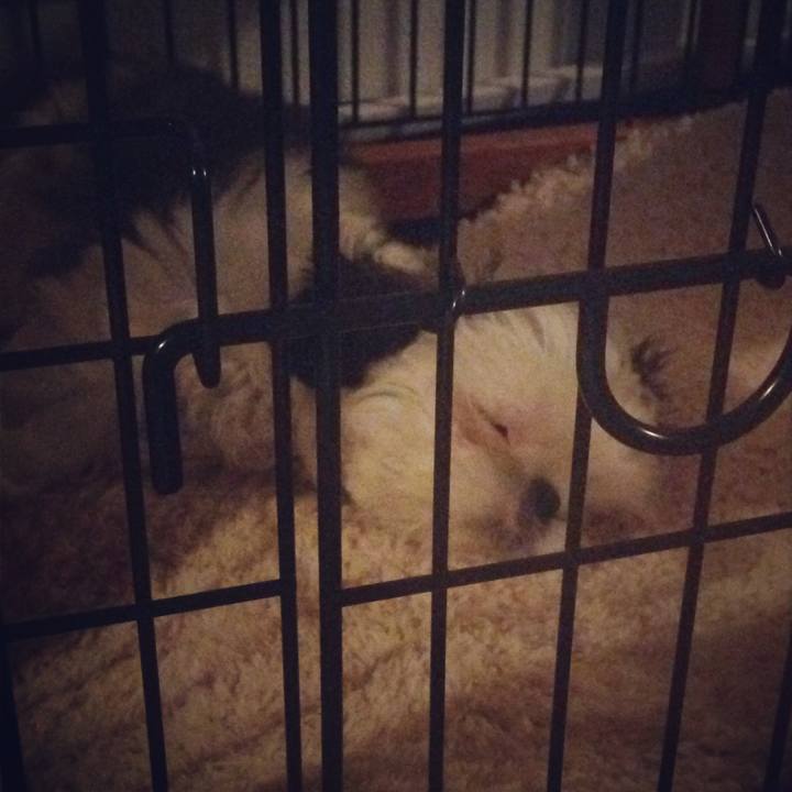 C315cbf9 19d7 458a a697 8b77fda4e5fb