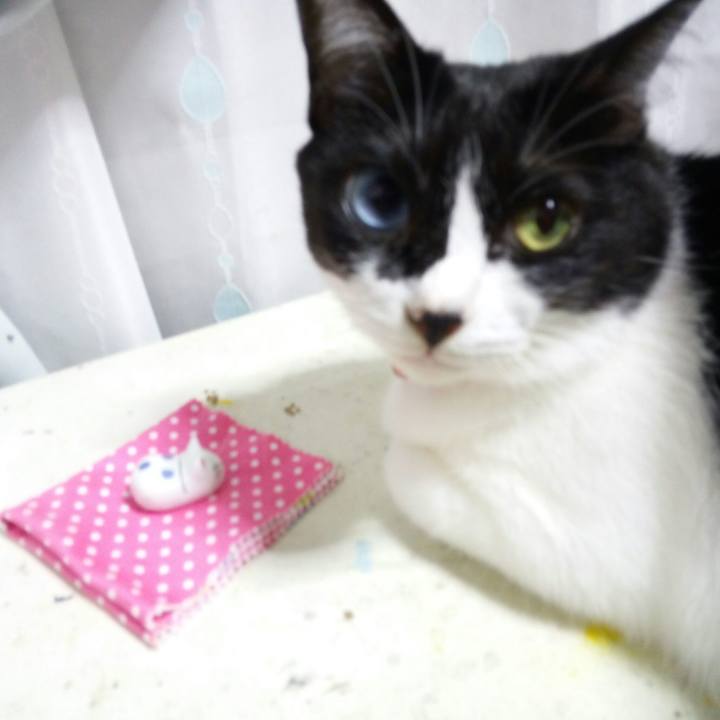 C316c974 39b7 4237 a2a2 5d3e319c857b