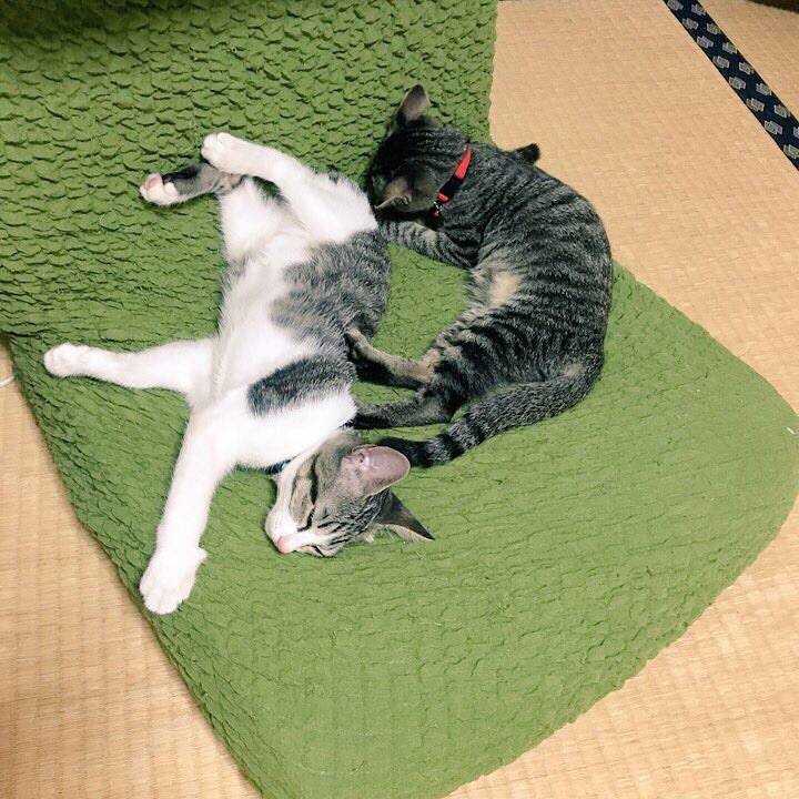 C317482d b1a7 40bb ad79 8b870cb960b0