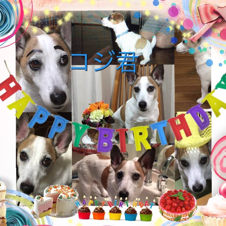 C31874f5 b676 46e7 a4ef 160afd714574