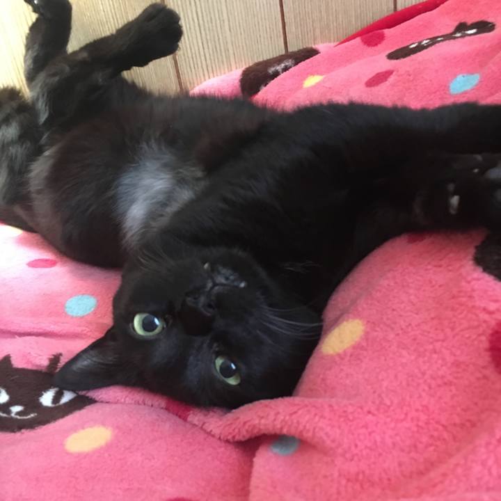 C3199e17 9f4e 48a9 b3a9 d3fb0059e6b9