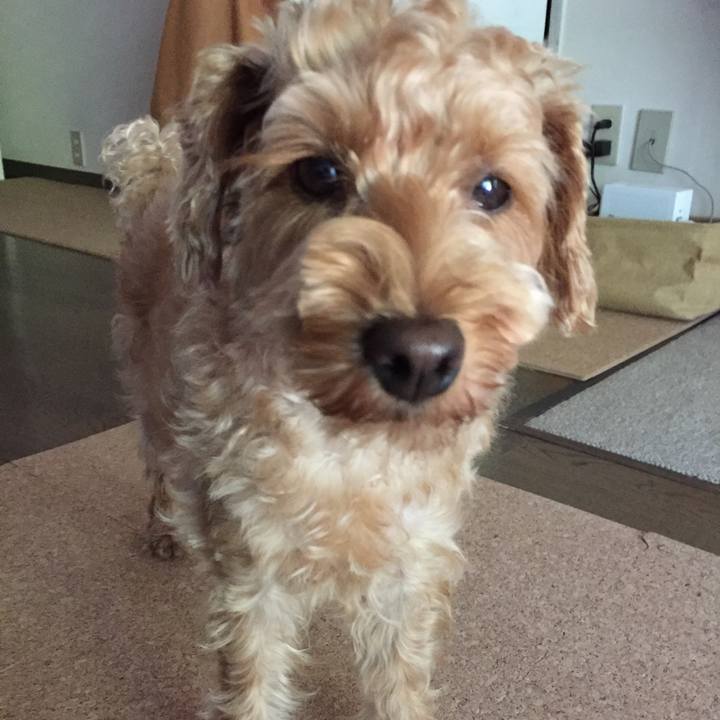 C31a2339 3d05 4172 bde4 153fbf79903b