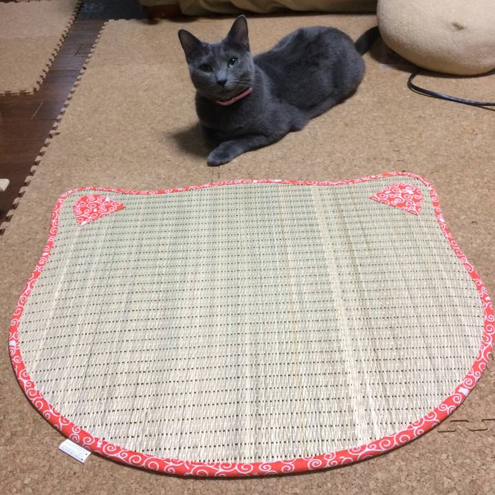 C31aae4d 5249 4baf adc0 edbf48c98742