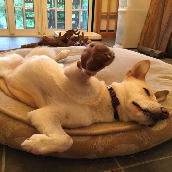 C31ab14c f7d0 48bf 9b58 a34f18624913