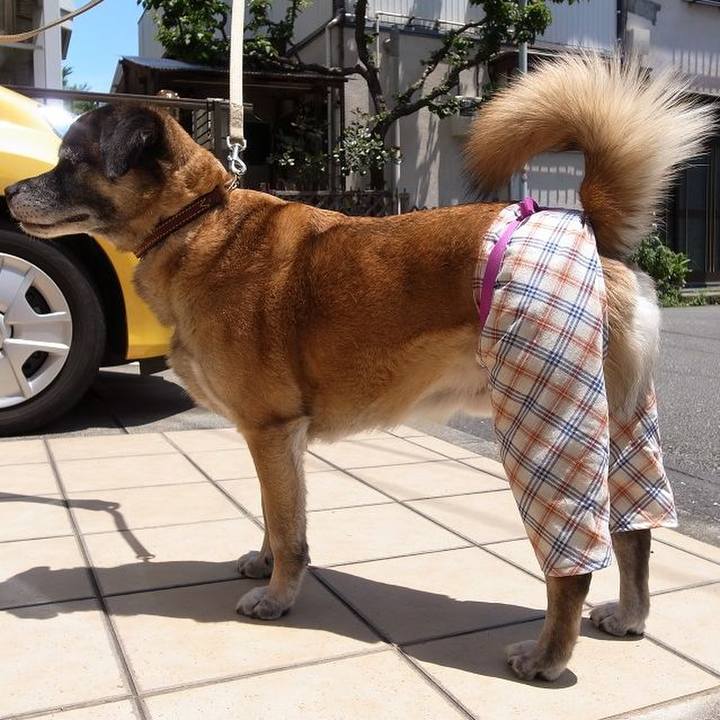 C31ab86a e049 44a2 aa4a 5296c5b8d2fa