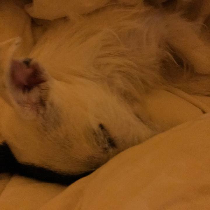 C31adcab 372d 459d ad78 fe72a344917d