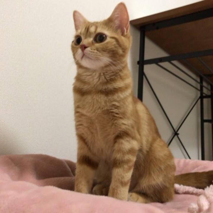 C31afb99 6f6c 4f57 812e 0dde77b47d0e