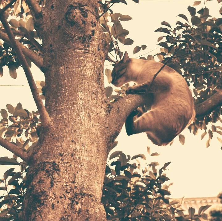 C31b160e d08a 44db b804 8a712ae5ccc3