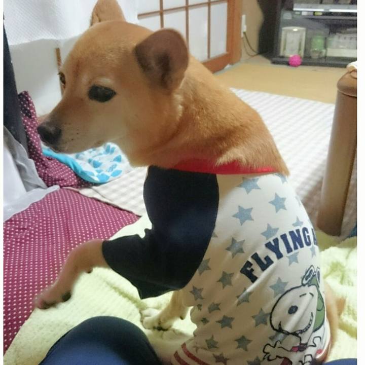 C31b9d3f ad61 4b1a ae71 e4eeaee3deef