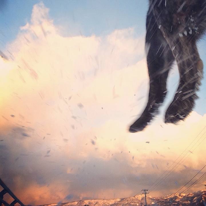 C31bb6e6 8424 45e5 9446 dee952d50e5e