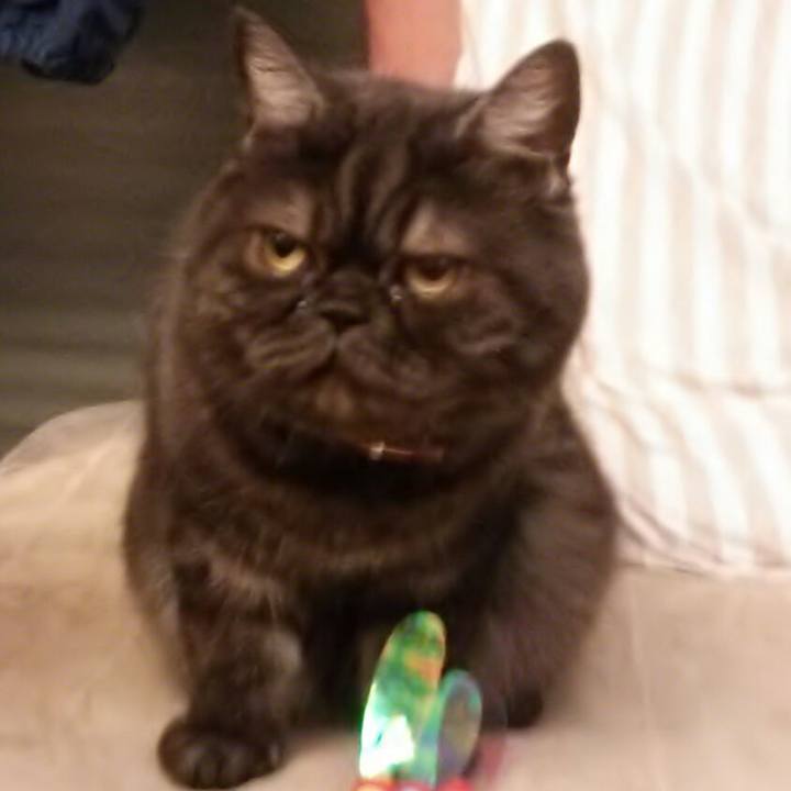 C31bc45c cca0 4f21 a414 05f4dad5a38f