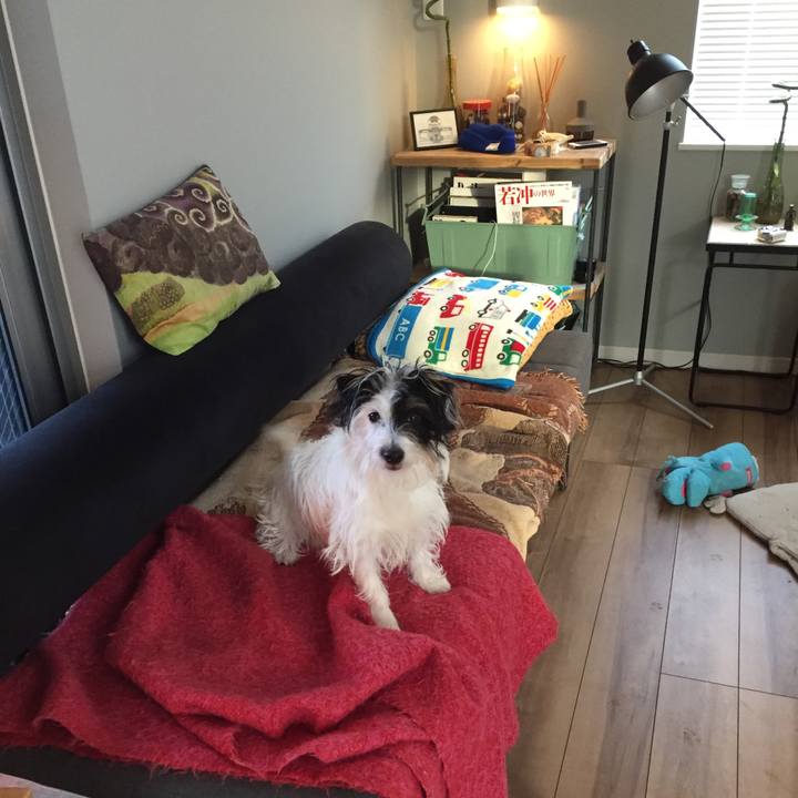 C31be21d 8654 4ed0 8c93 3c2f65cf67b1