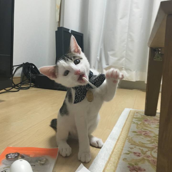 C31beef7 ed1c 4595 af98 002127c06159