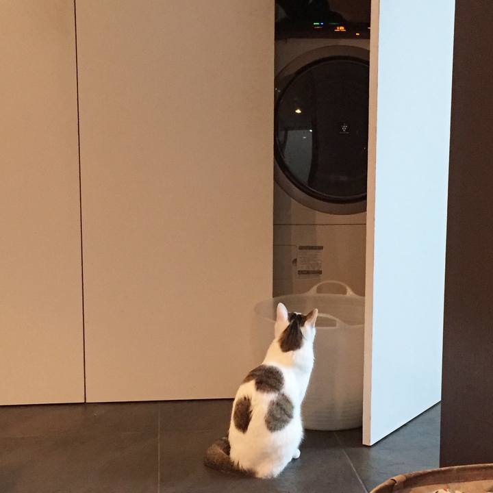 C31c6075 9dcf 42f0 b6fc c3c244d7586f