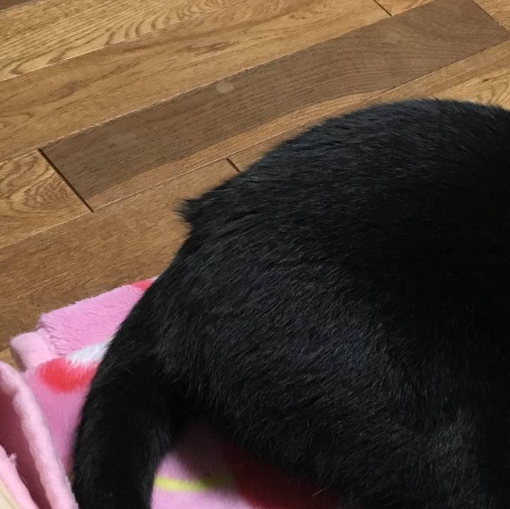 C31d1d5f 7823 4188 84c0 c66943affb68