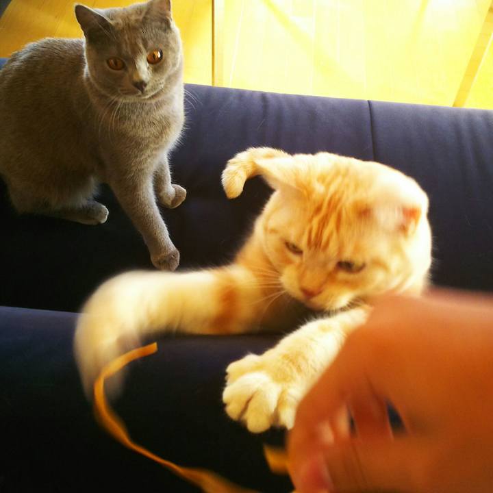 C31d6d77 eb53 40c7 8c53 ce6f9c07f9e0