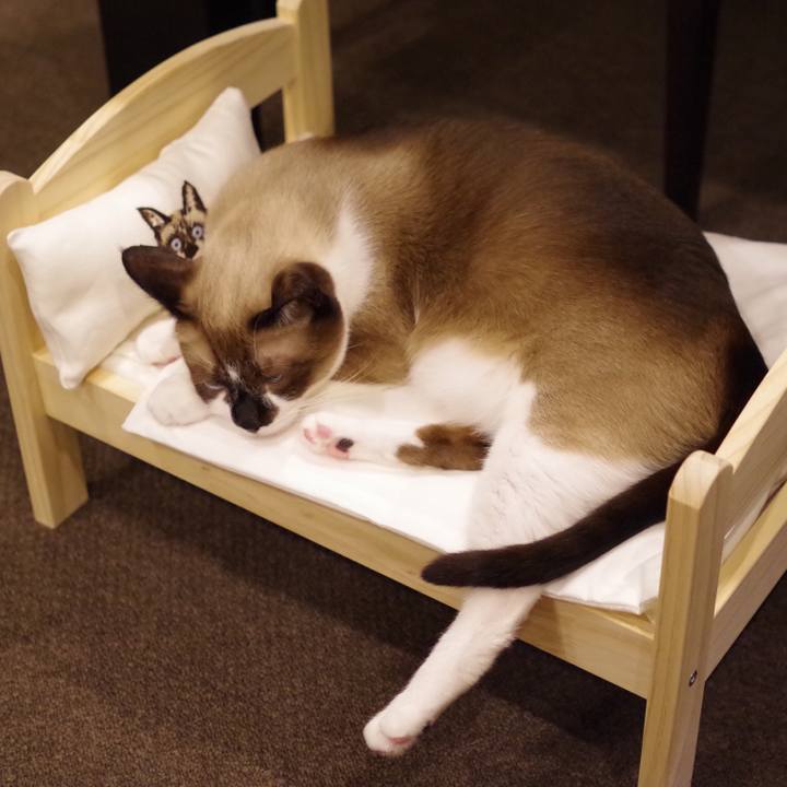 C31dd02a 8ef2 4f93 9166 49a42c357b00