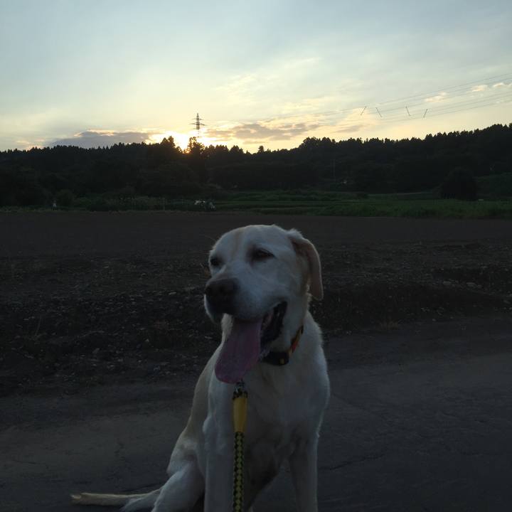 C31dda4a 42e1 443d 8a5a b3dad75b3217