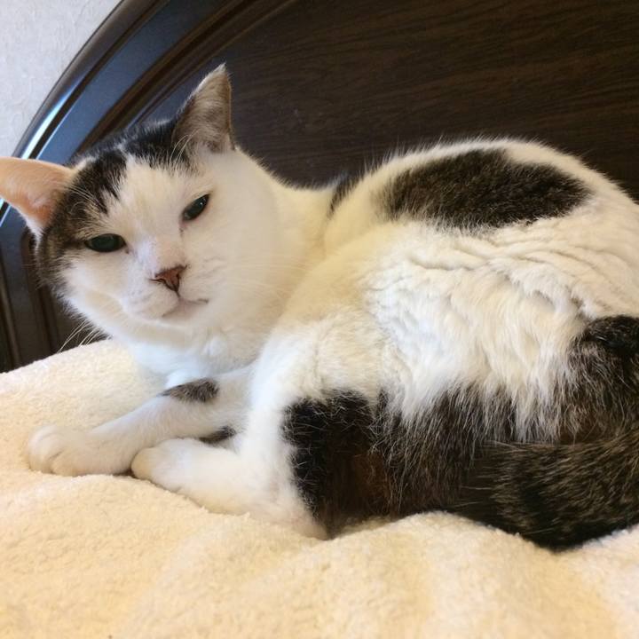 C31de751 1212 4dc4 9f56 fd71f4402161