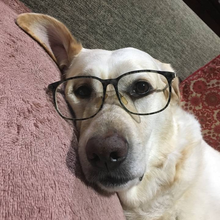 C31edddc d8a6 4092 99c4 554e26416589