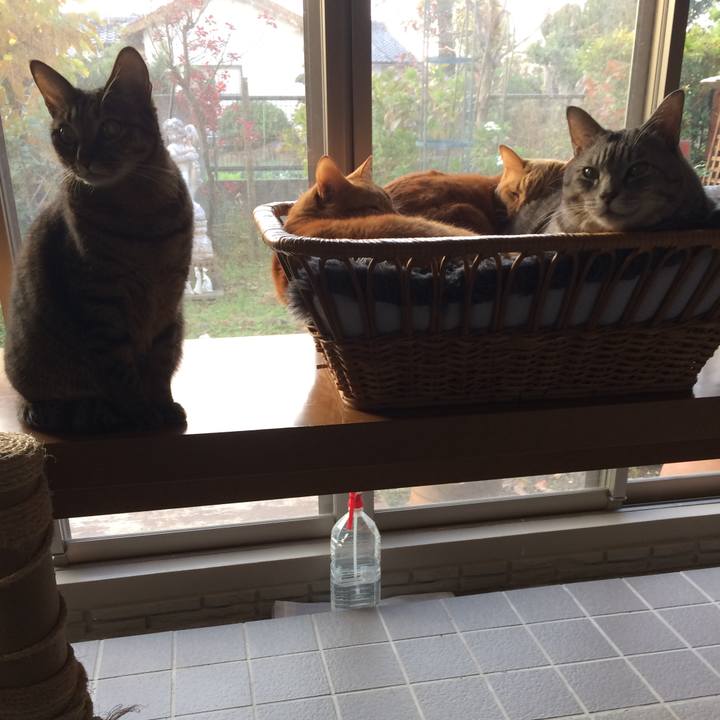 C31f32dc dd8d 47e8 b26c e3b96f113c04