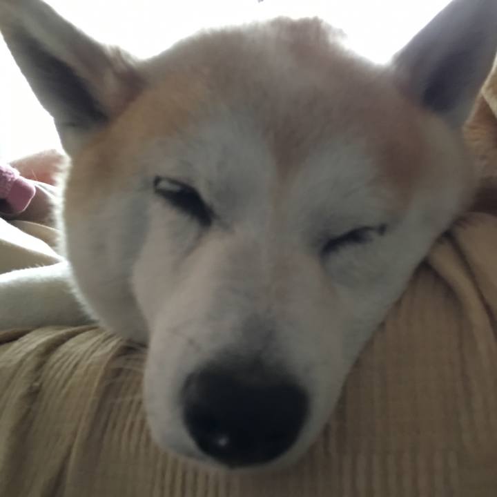 C31f3afd d647 4f09 9aad a03cc1e23cec