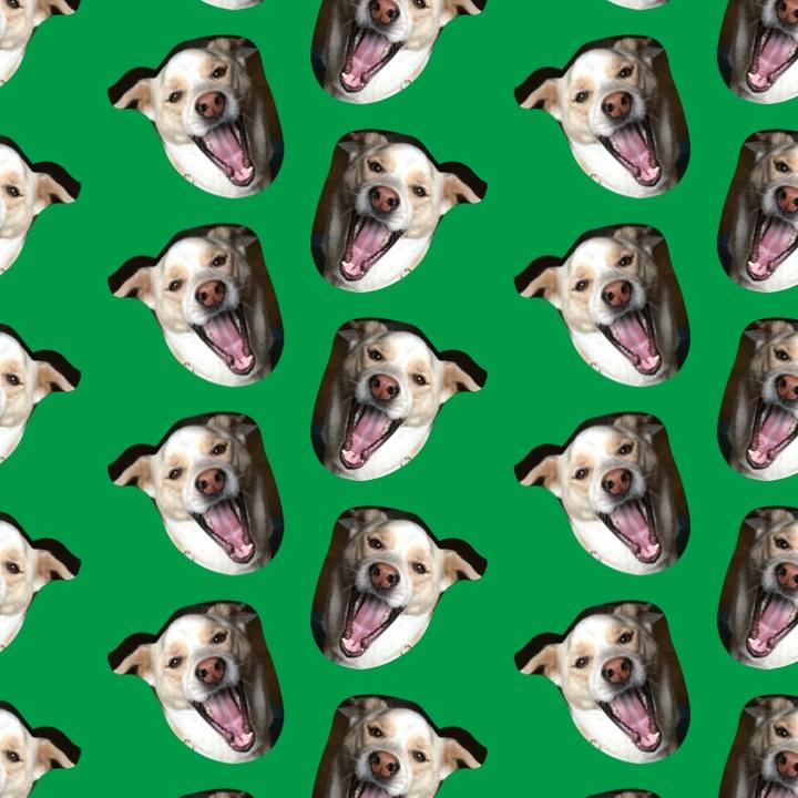 C31f4ebf c6cc 470a b8fb 0dd1efab63a4