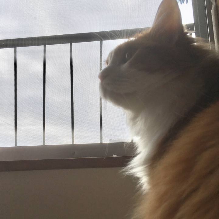 C31fe56c 4923 49ae 89f9 2774d9b81f8c