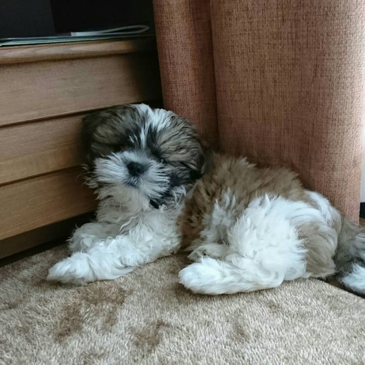 C31ff2cc 19d8 42fc 9169 f357b2ef9702