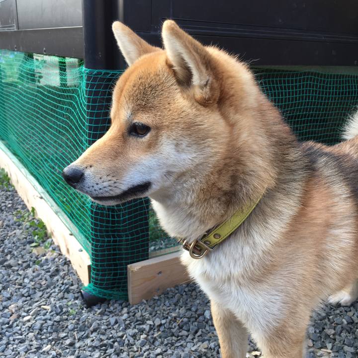 C320656b 049d 467a a434 7112fab2eae7