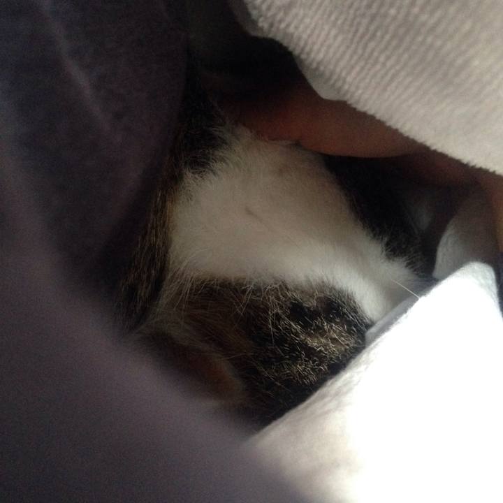 C32171c9 afa8 40d4 bb58 11d4c516b4e5