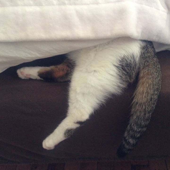 C3219172 9da9 4bbe 8dad aa227bf43135