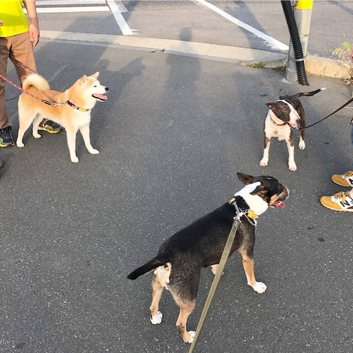 C321ff89 8efa 4d02 9274 36d5776e75de